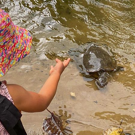 Tasman Holiday Parks - Cairns Cool Waters المظهر الخارجي الصورة