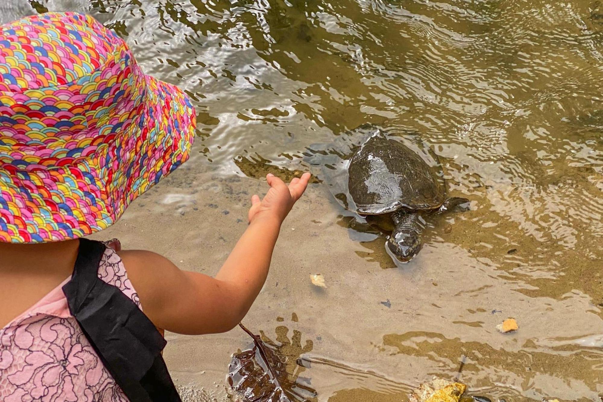 Tasman Holiday Parks - Cairns Cool Waters المظهر الخارجي الصورة